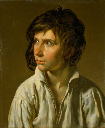 Portrait of a Youth by Anne Louis Girodet de Roussy Trioson